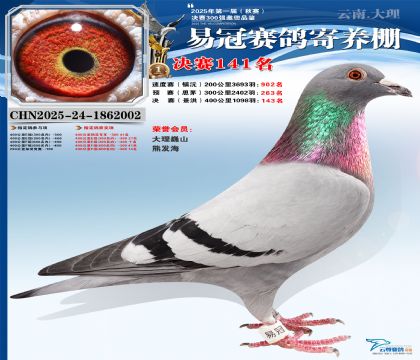 云南易冠決賽141名