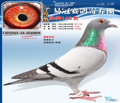 云南易冠決賽142名