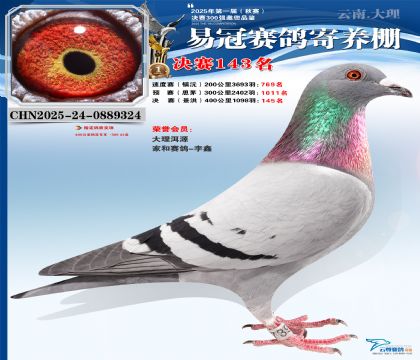 云南易冠決賽143名