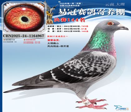 云南易冠決賽144名