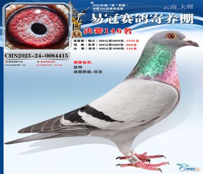 云南易冠決賽146名