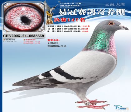 云南易冠決賽147名