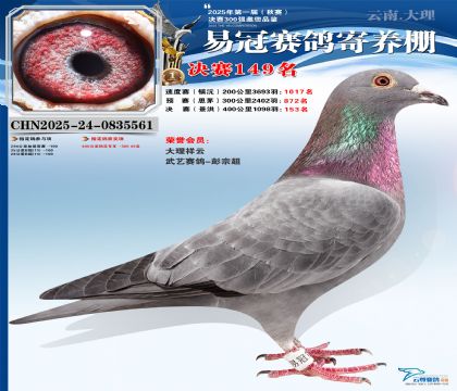 云南易冠決賽149名