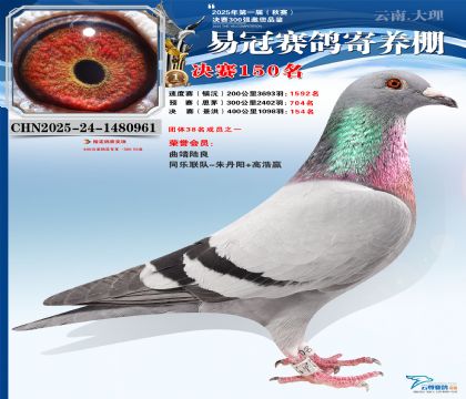 云南易冠決賽150名