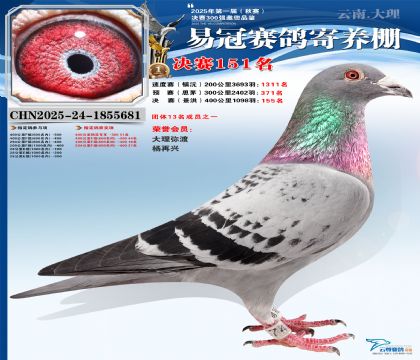 云南易冠決賽151名