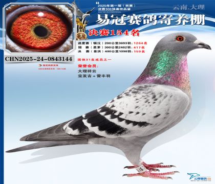 云南易冠決賽154名