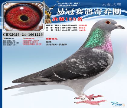 云南易冠決賽155名