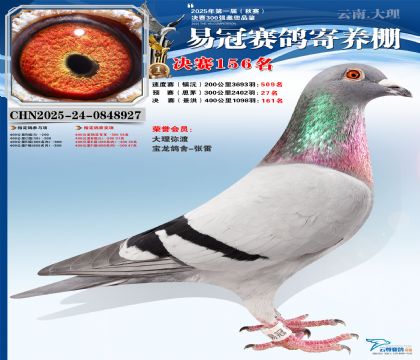 云南易冠決賽156名