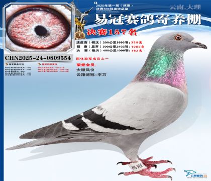 云南易冠決賽157名