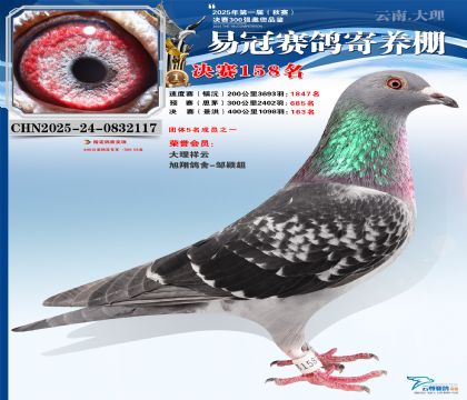 云南易冠決賽158名