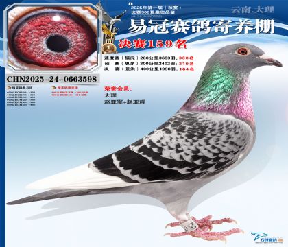 云南易冠決賽159名