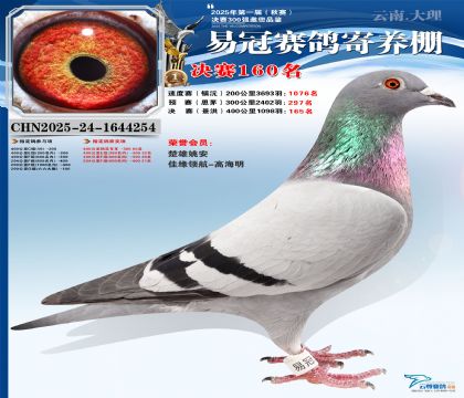 云南易冠決賽160名