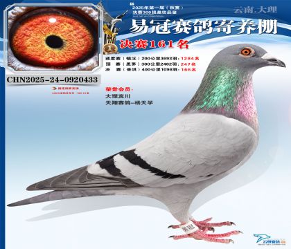 云南易冠決賽161名