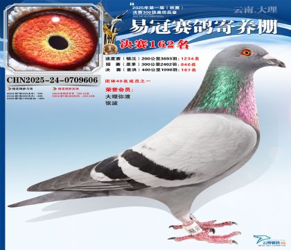 云南易冠決賽162名