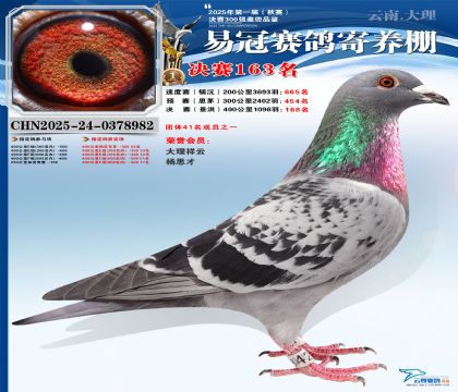 云南易冠決賽163名