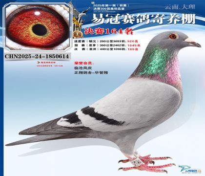 云南易冠決賽164名