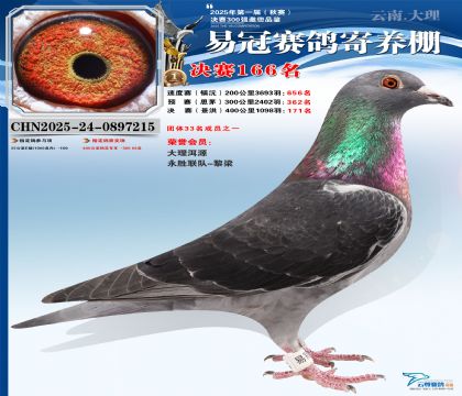 云南易冠決賽166名