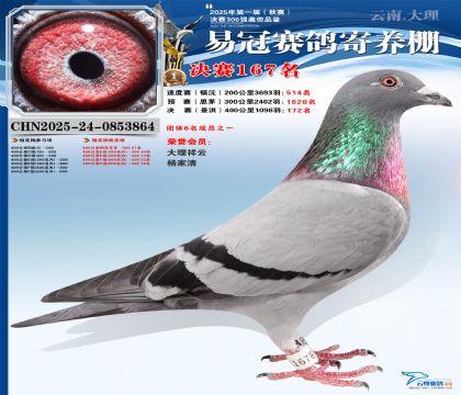 云南易冠決賽167名