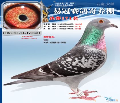 云南易冠決賽171名