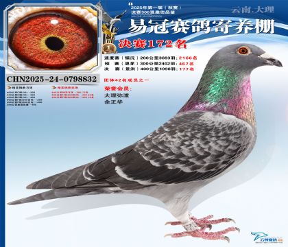 云南易冠決賽172名