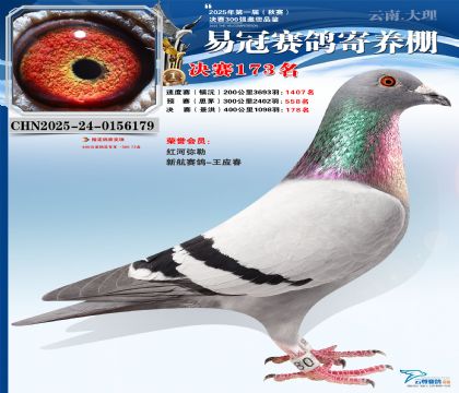 云南易冠決賽173名