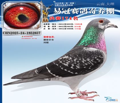 云南易冠決賽174名