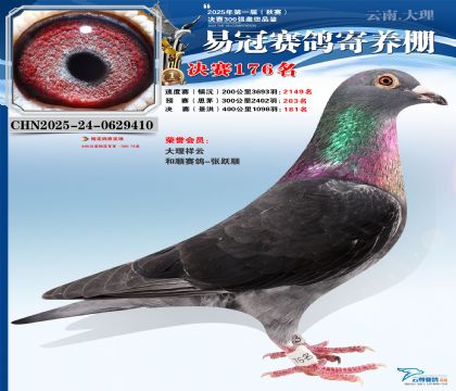 云南易冠決賽176名