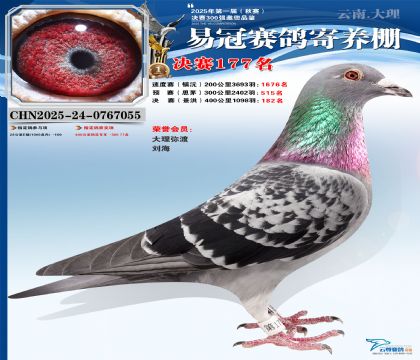 云南易冠決賽177名