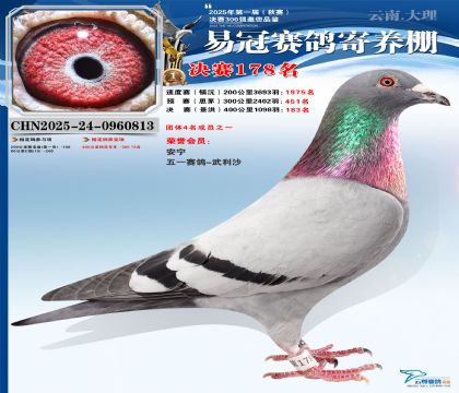 云南易冠決賽178名