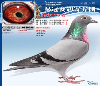 云南易冠決賽179名