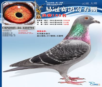 云南易冠決賽183名