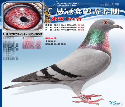 云南易冠決賽184名