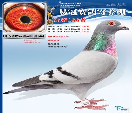 云南易冠決賽186名