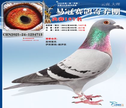 云南易冠決賽187名