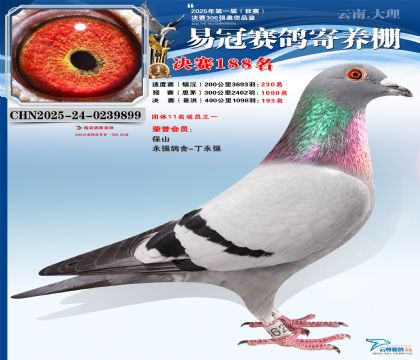 云南易冠決賽188名