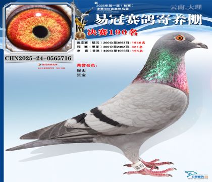 云南易冠決賽190名