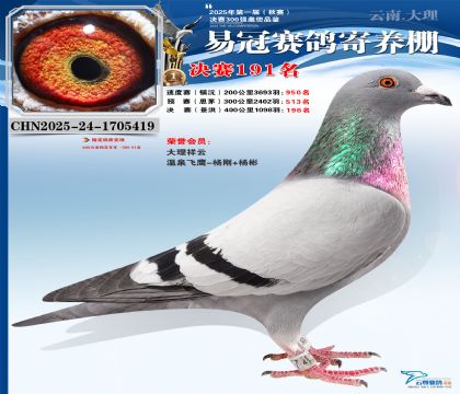 云南易冠決賽191名