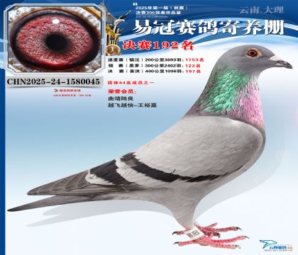 云南易冠決賽192名