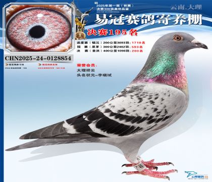 云南易冠決賽195名