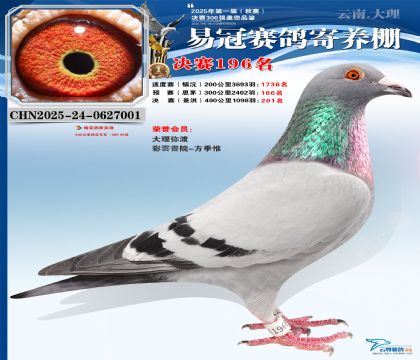 云南易冠決賽196名