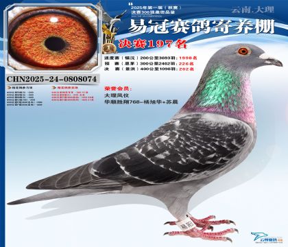 云南易冠決賽197名