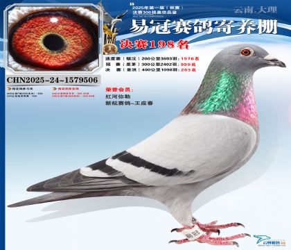 云南易冠決賽198名