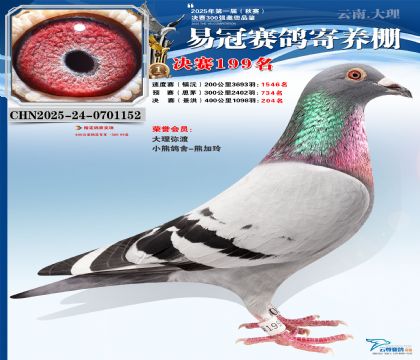 云南易冠決賽199名