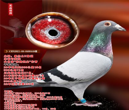 ·I(y)(sh)(zhn)ϵ.ȸ̖(ho)