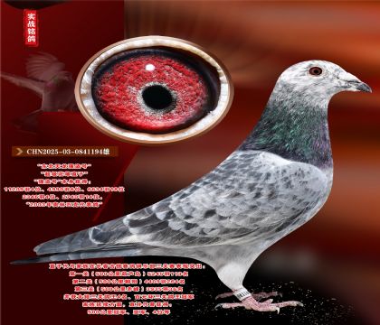 |(qing)I̖(ho)(j)ֱۡ