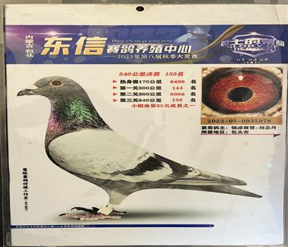 照片隨鴿發(fā)送