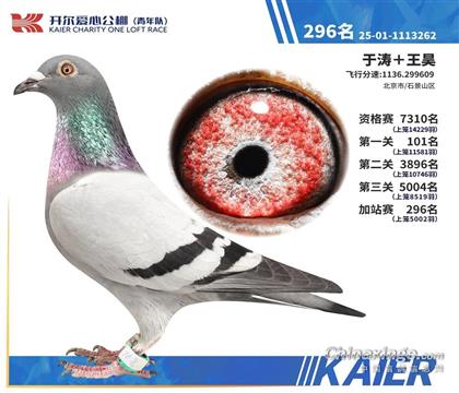 開爾青年隊(duì)加站賽296名