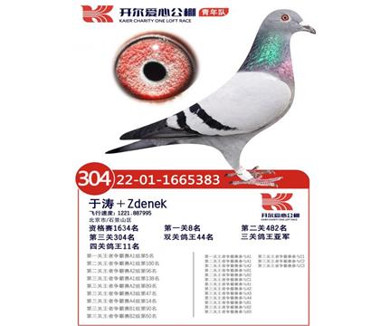 開爾青年隊(duì)三關(guān)鴿王亞軍