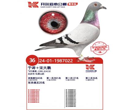 開爾青年隊(duì)決賽36名