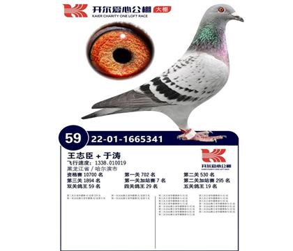 開爾愛心公棚加站賽7名